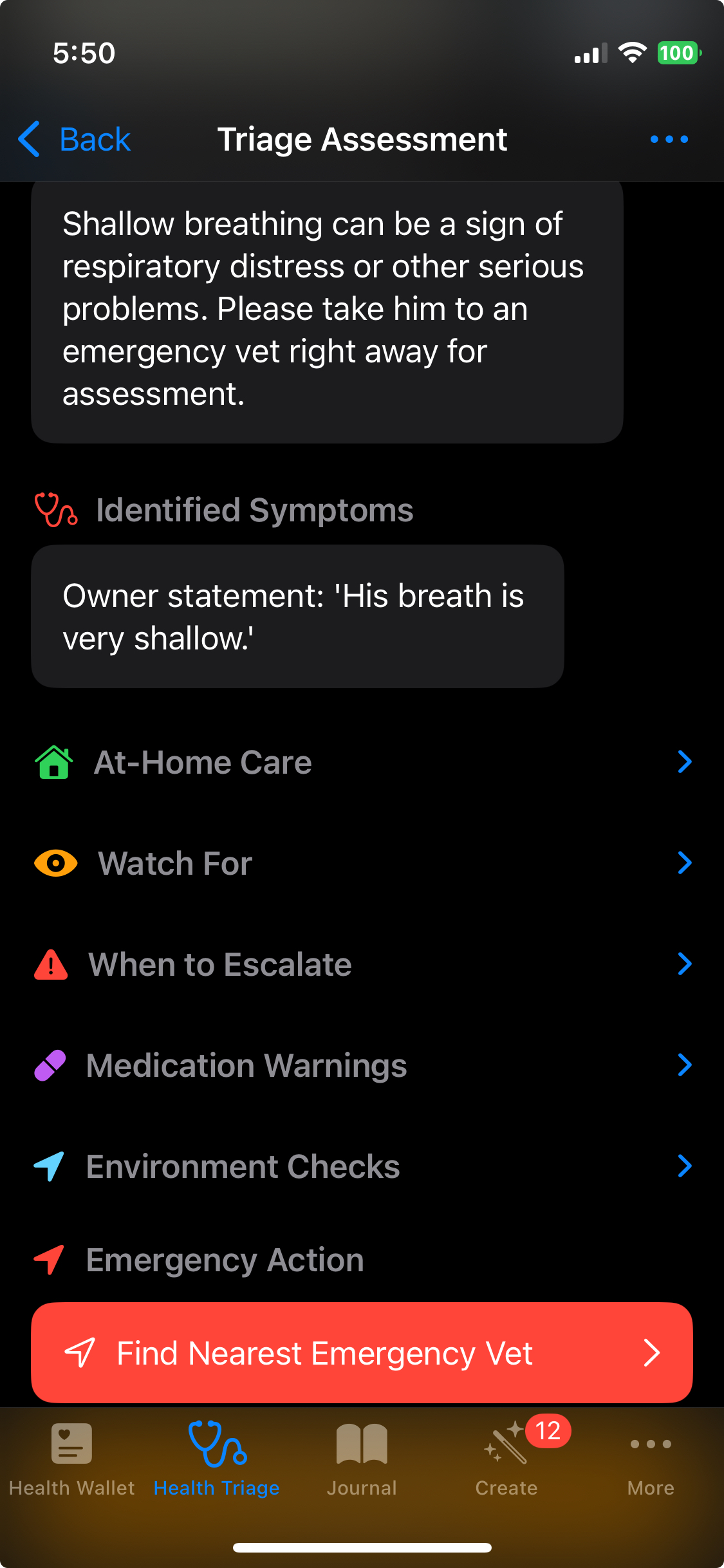 AI Health Triage Assessment
